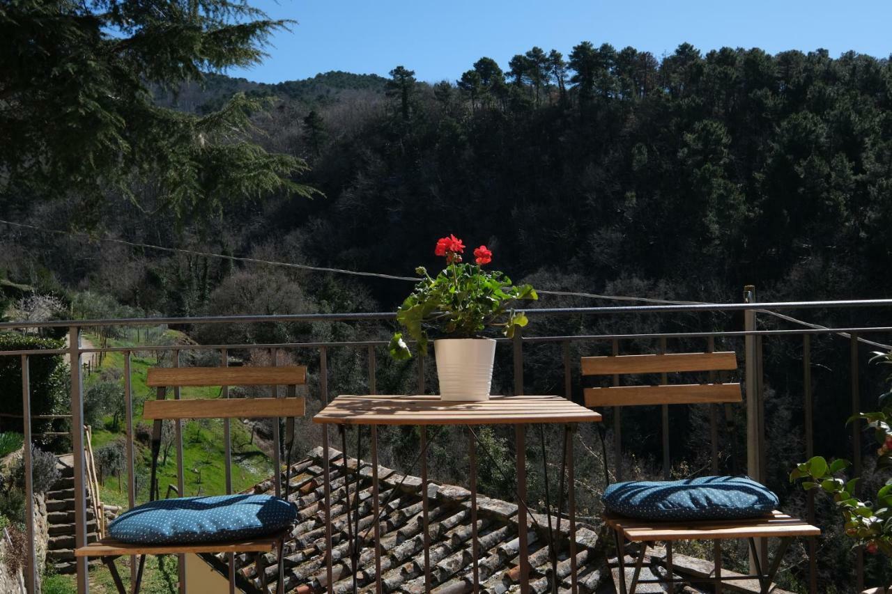 B&B Panoramic Греве-ин-Кьянти Экстерьер фото